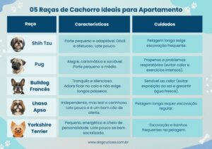 Cachorro para aparatamento