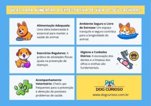 Dicas para Aumentar a Expectativa de Vida do Seu Cachorro